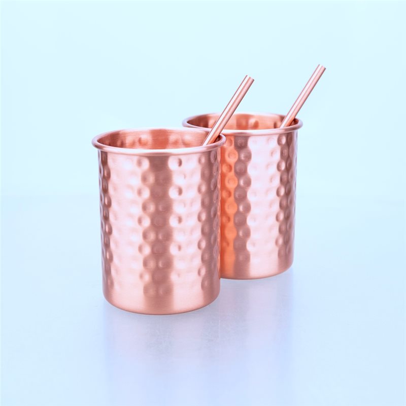 ABLU-2PC Tazza in Acciaio Inos - Copper Cocktail Mug recensione e prezzo